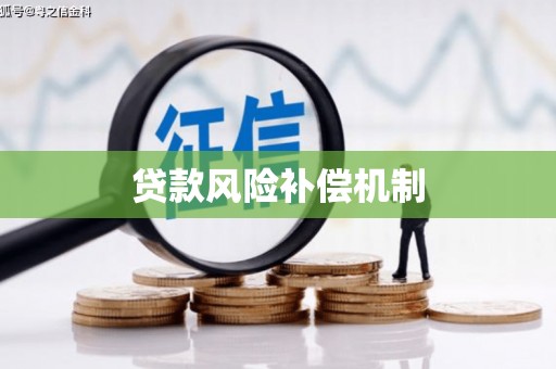 赵县贷款风险补偿机制