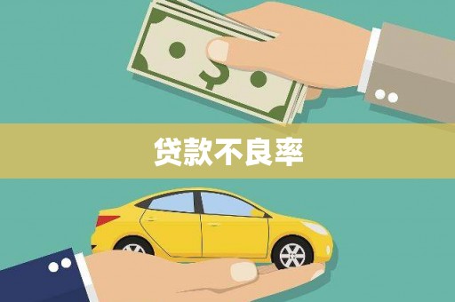 赵县贷款不良率