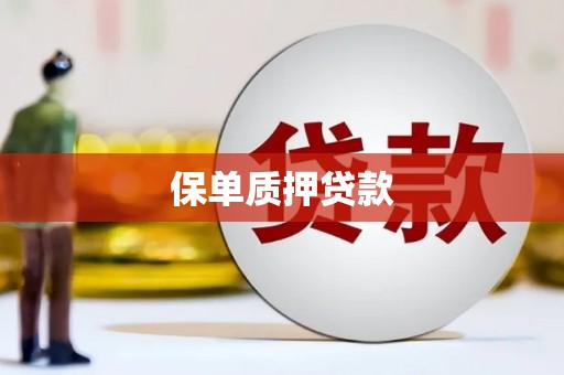 赵县保单质押贷款