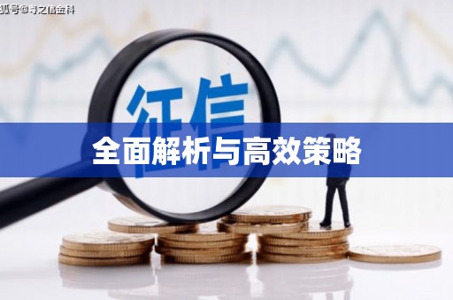 赵县全面解析与高效策略