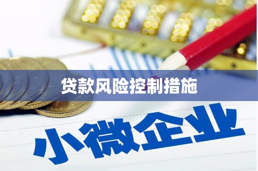 赵县贷款风险控制措施