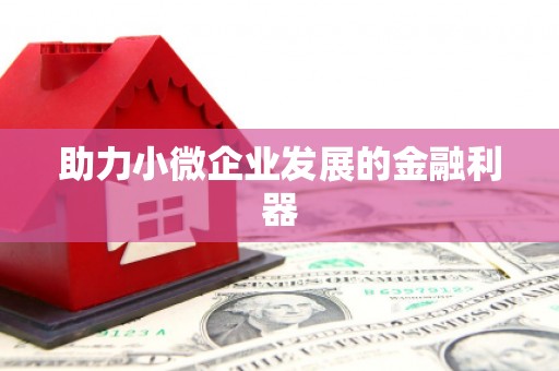 赵县助力小微企业发展的金融利器