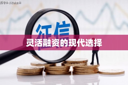 赵县灵活融资的现代选择