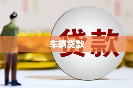 赵县车辆贷款