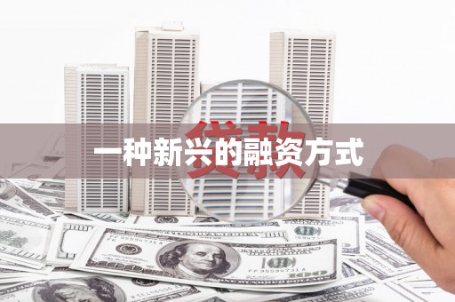 赵县一种新兴的融资方式