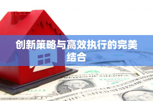 赵县创新策略与高效执行的完美结合