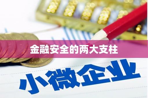 赵县金融安全的两大支柱