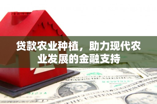 赵县贷款农业种植，助力现代农业发展的金融支持